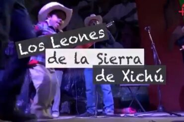 leones de la sierra
