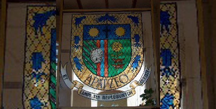 apaseo el grande presidencia