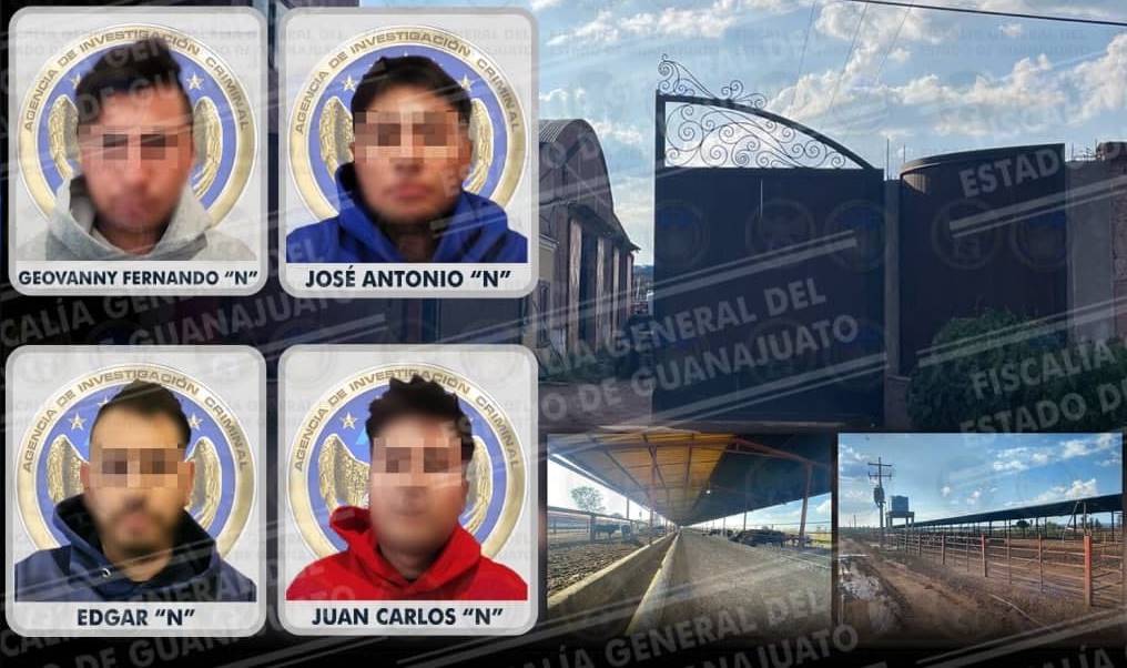 ganado