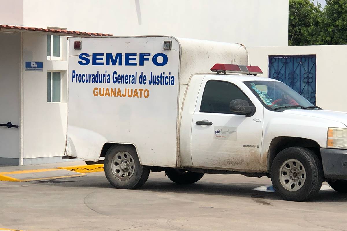 semefo
