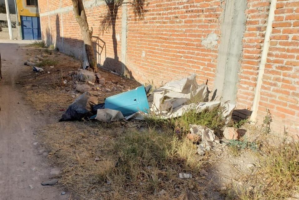 bote