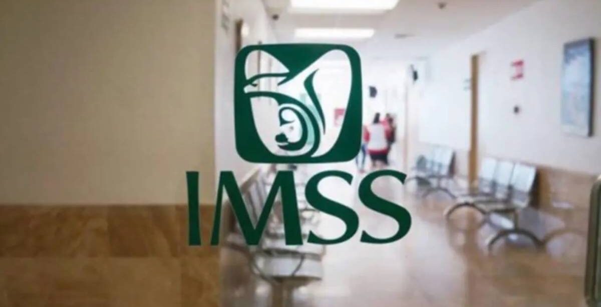 imss general 1200x820 e1771369809725