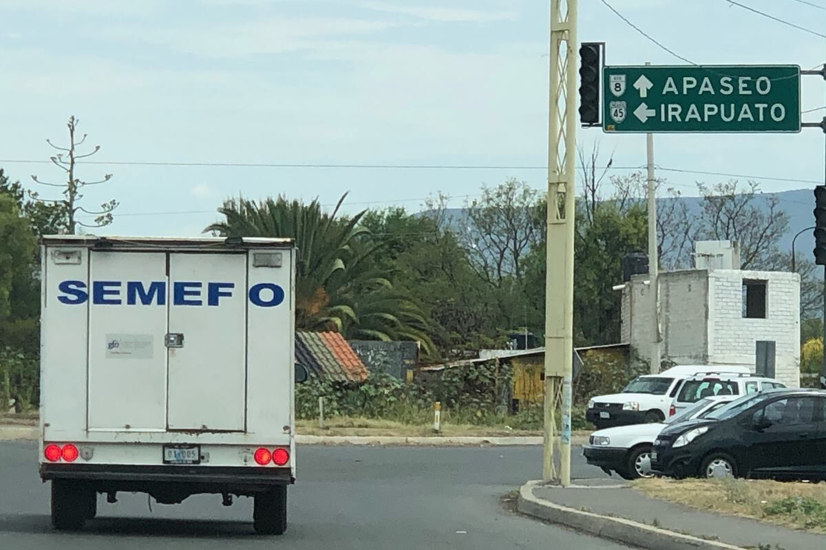 semefo 2
