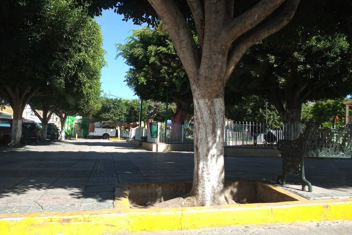 tamayo jardin