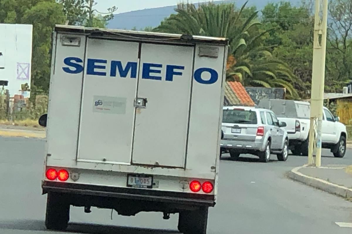 SEMEF