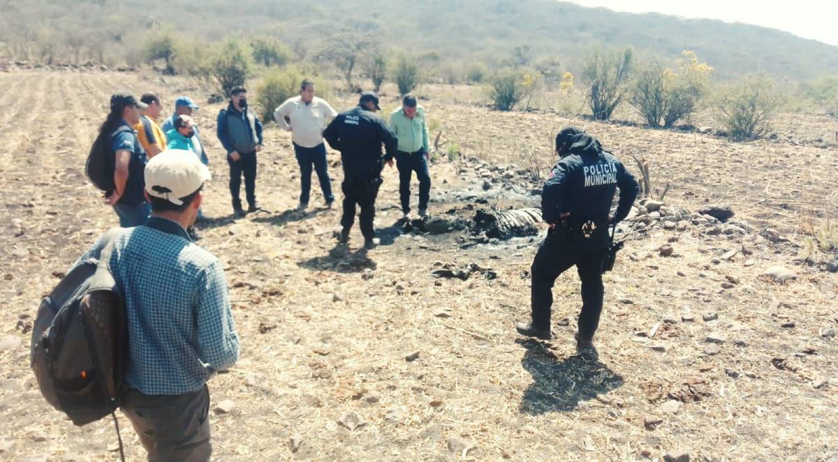 operativo tigre apaseo