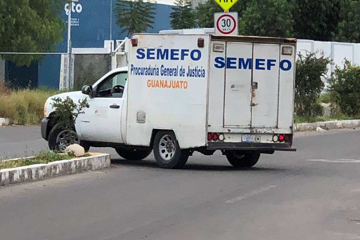 semefo 1