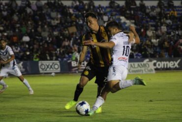 toros leones negros
