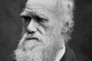 19 abril darwin