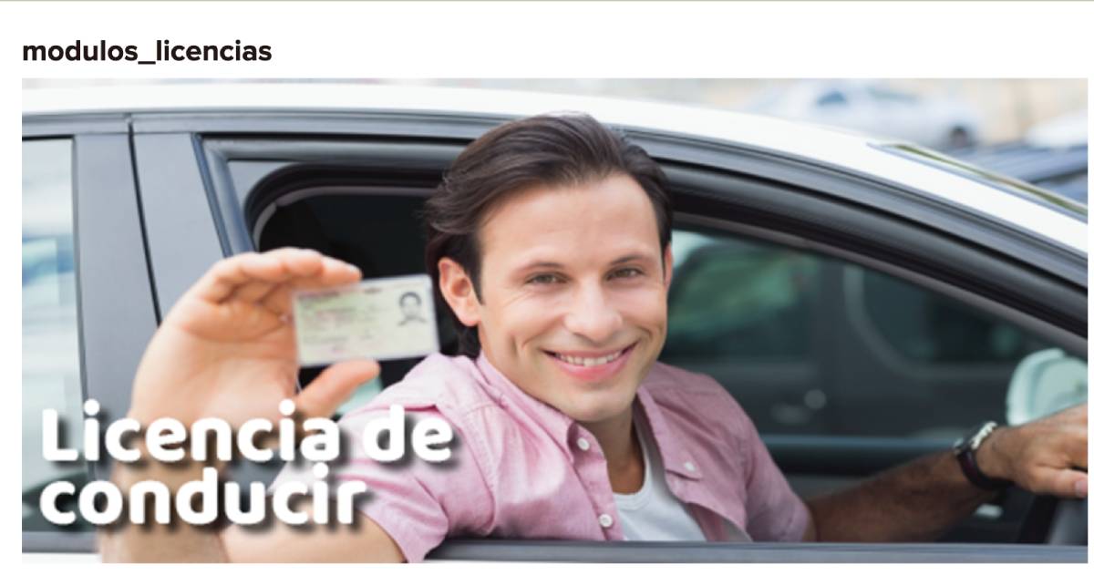 modulo licencia