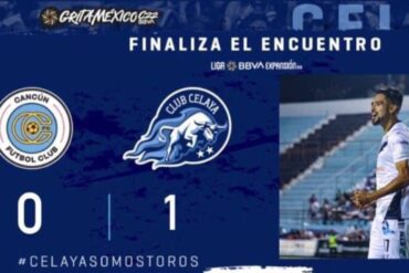 toros CELAYA GTO. jpg
