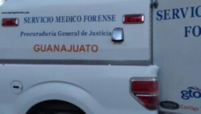 SEMEFO dia gto agora