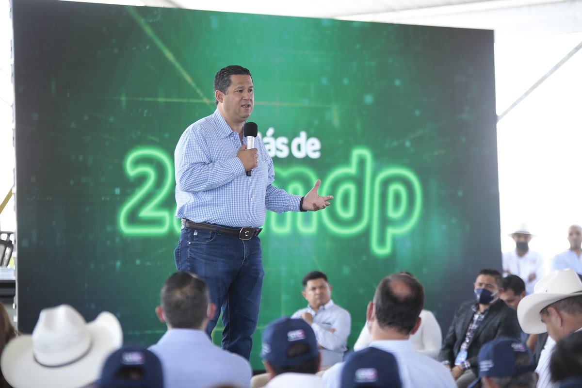 gobernador