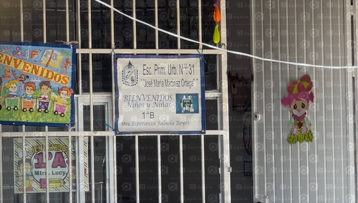 primaria irapuato