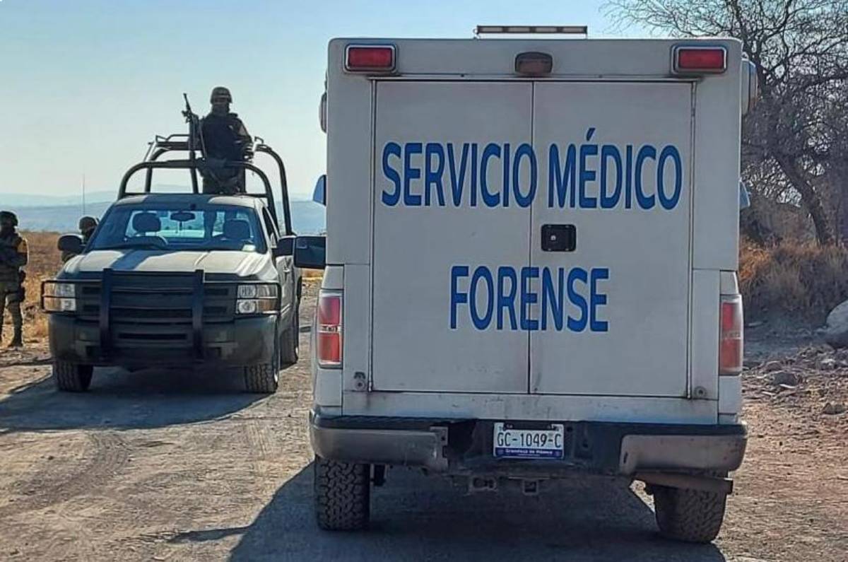 semefo rural dia