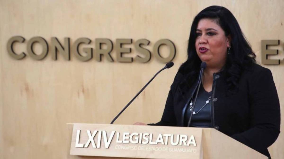 Diputada Katya Soto 1