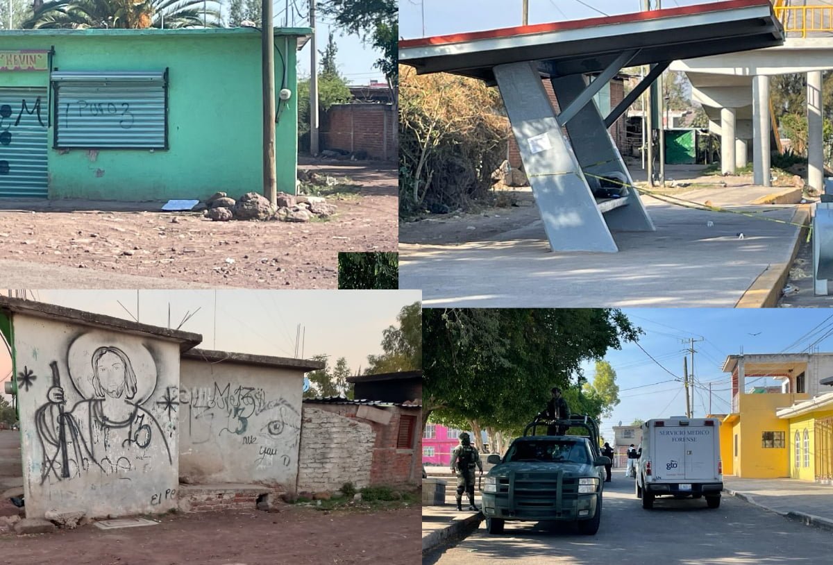 desmembrado irapuato