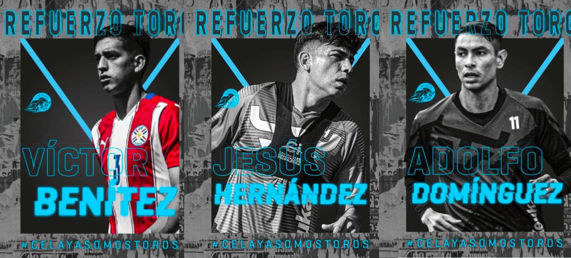 refuerzos toros