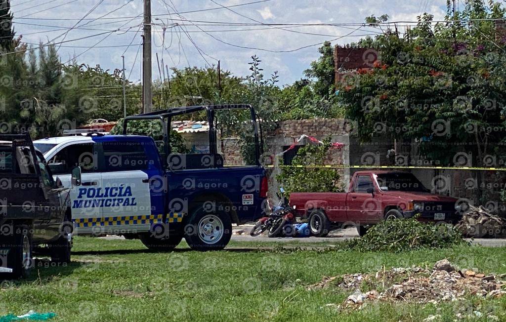 transito juventino