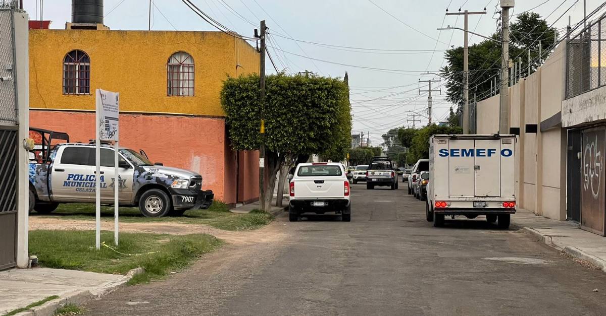 celaya nuevo
