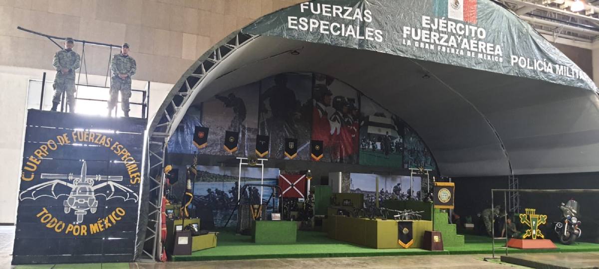 fuerza mexico Sedena irapuato