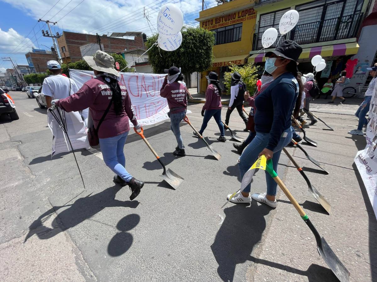 palas buscadoras irapuato