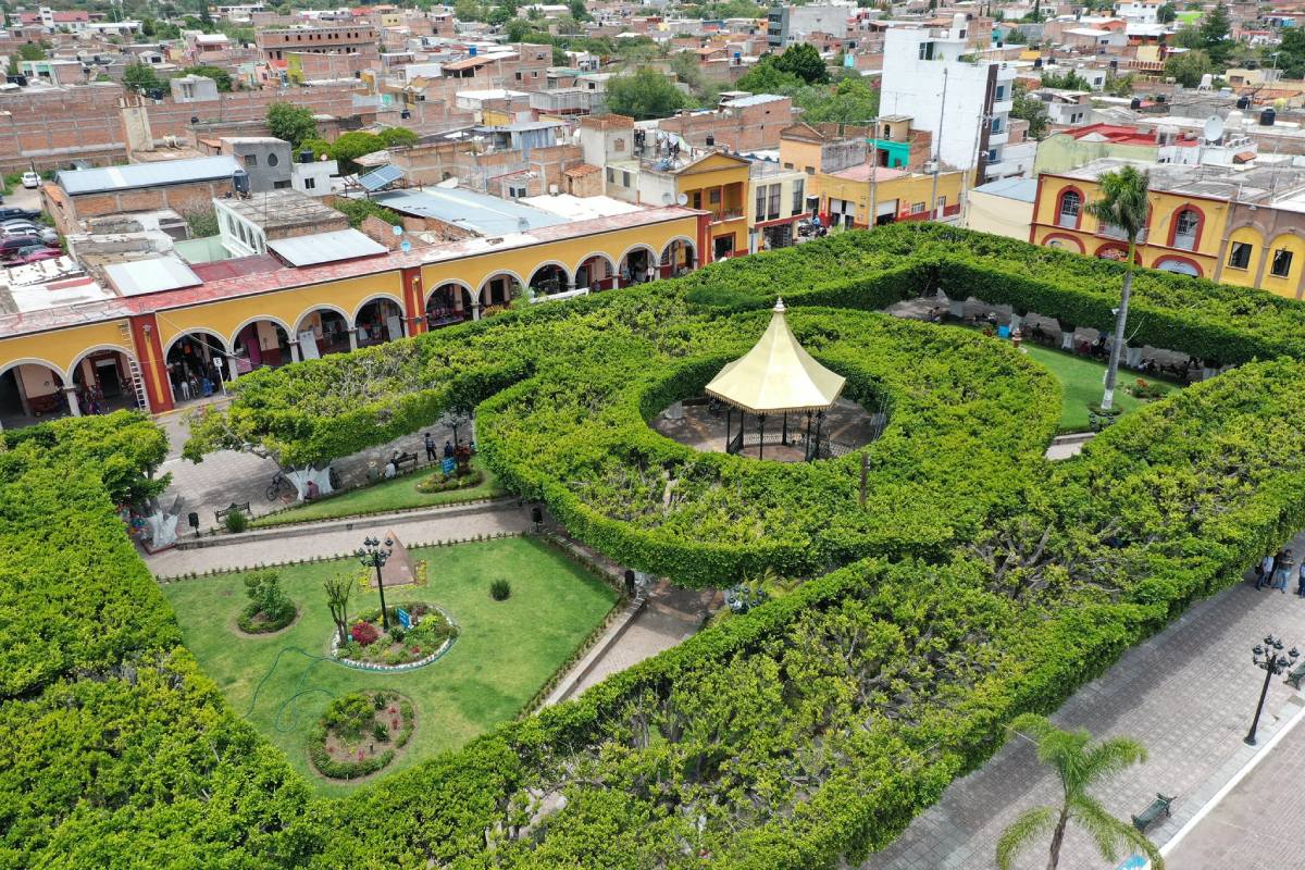 tarimoro jardin