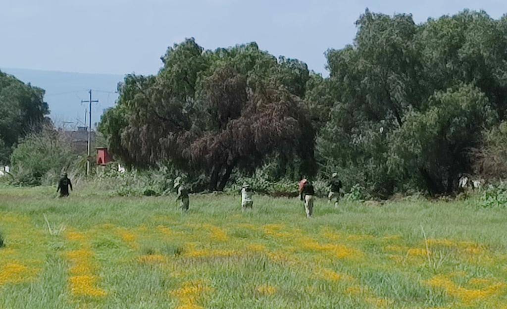 fosa los naranjos celaya