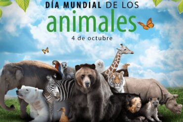 4 octubre animales