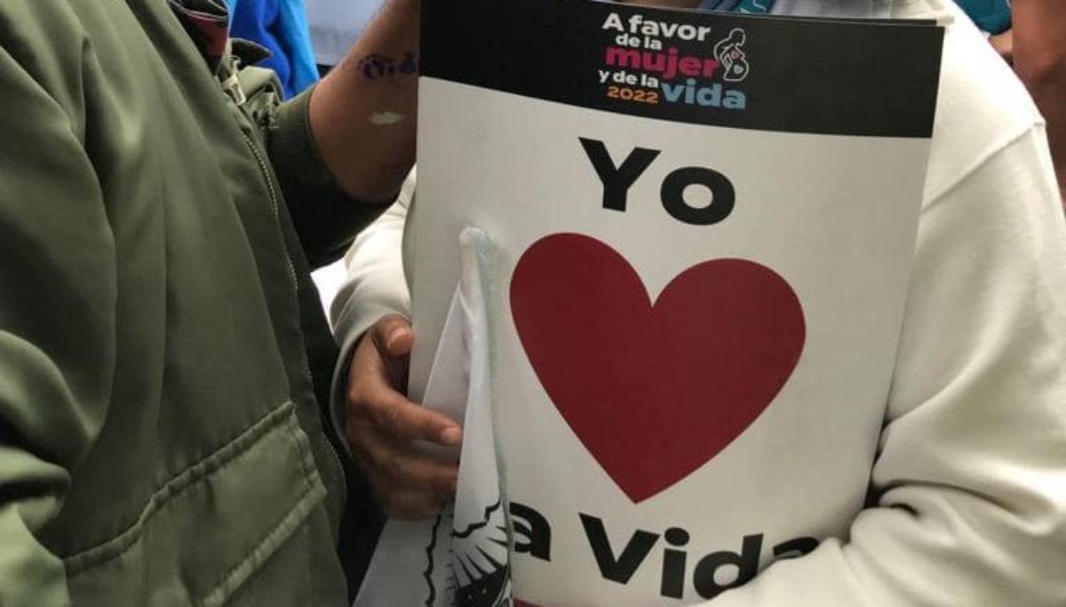antoaborto vida