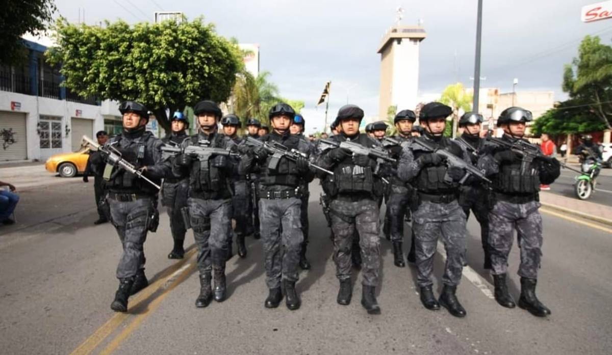 federales celaya