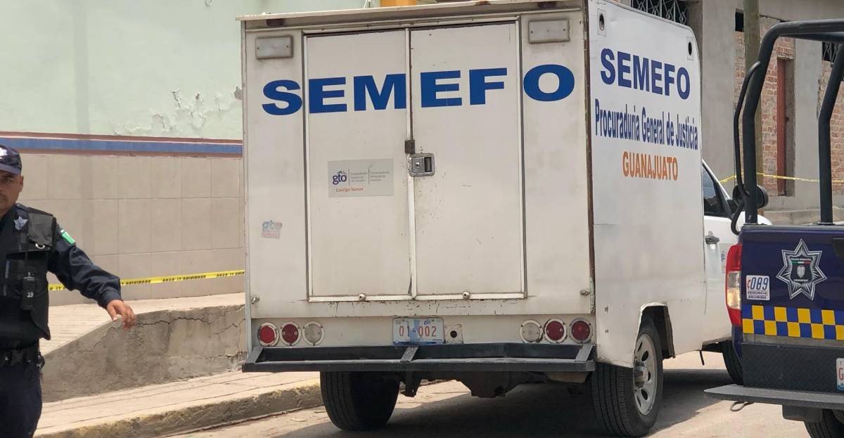 semefo dia 34