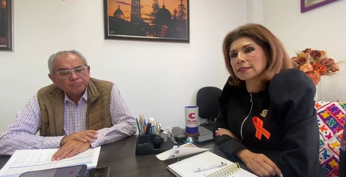 director de obras
