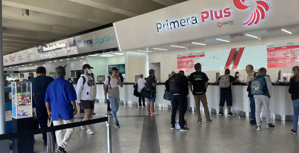 primera plus