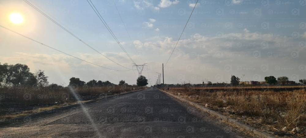 1 camino elguera