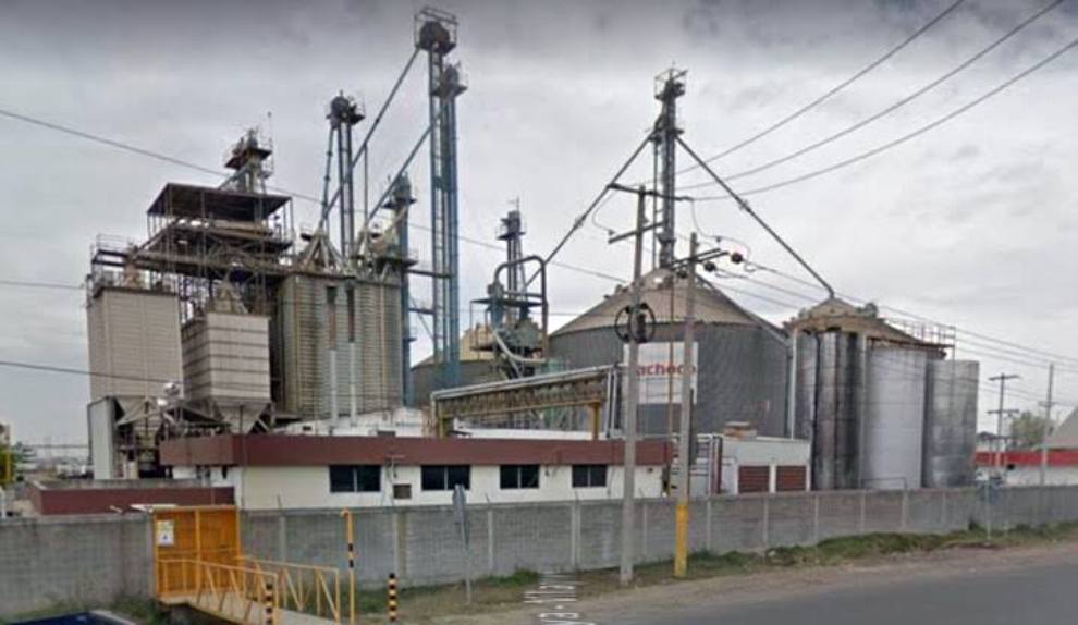 bachoco celaya