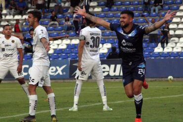 toros dorados