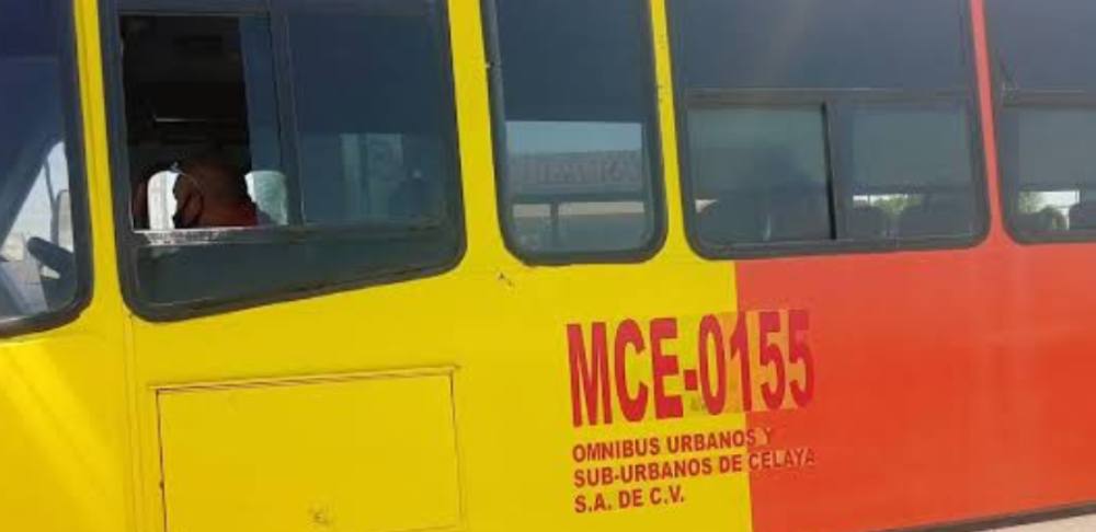 transporte celaya