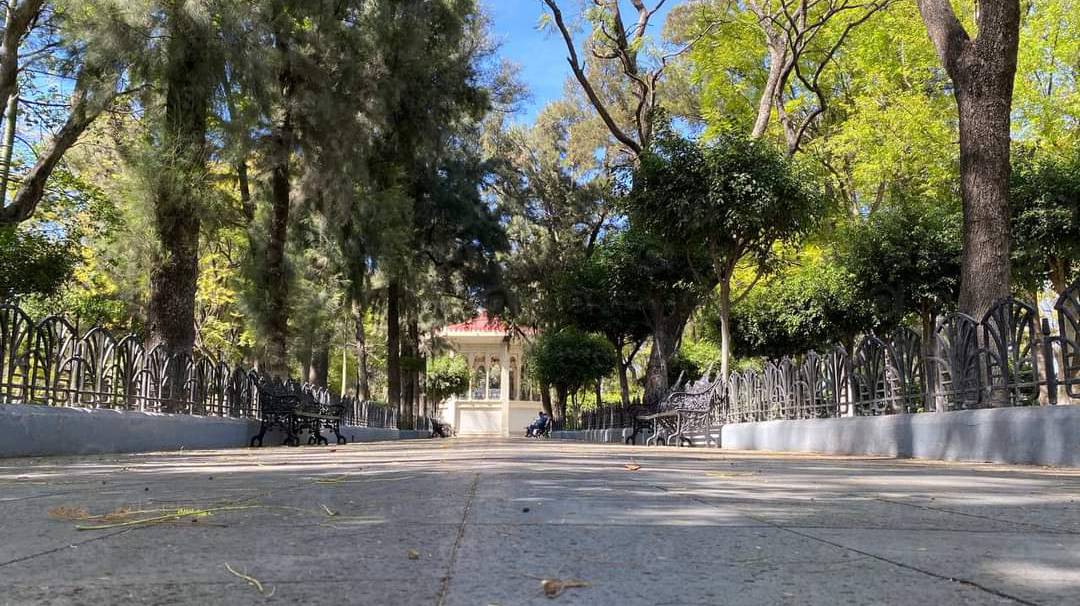 alameda celaya