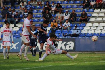 toros