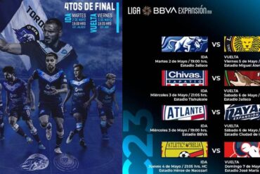 toros cuartos
