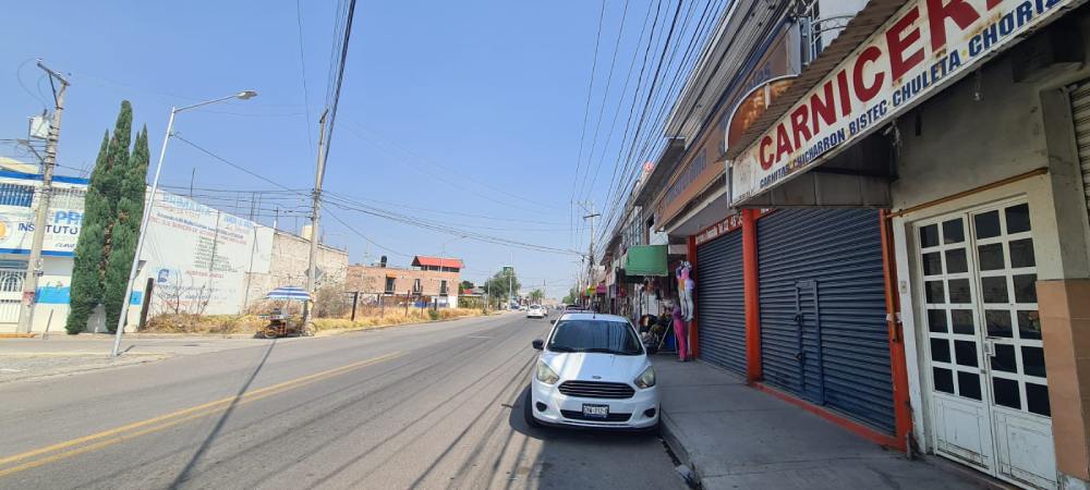 el sauz negocios