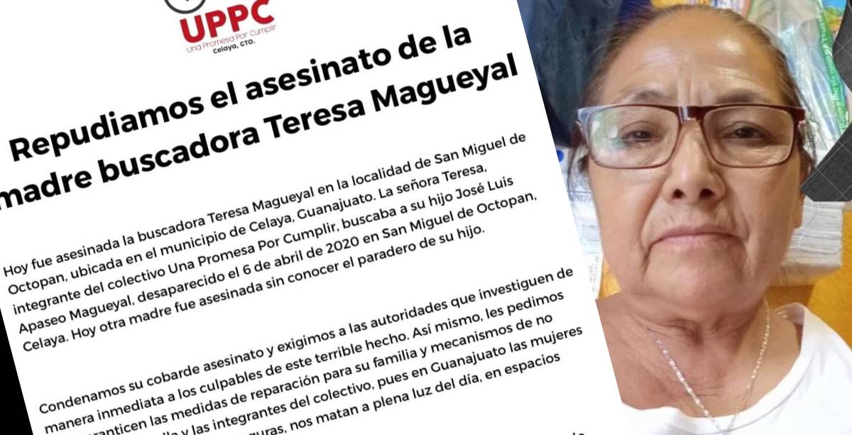 teresa colectivo