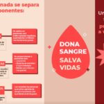 Efemérides 14 de junio, Día Mundial del Donante de Sangre 14 junio sangre 1