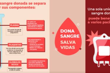 14 junio sangre 1