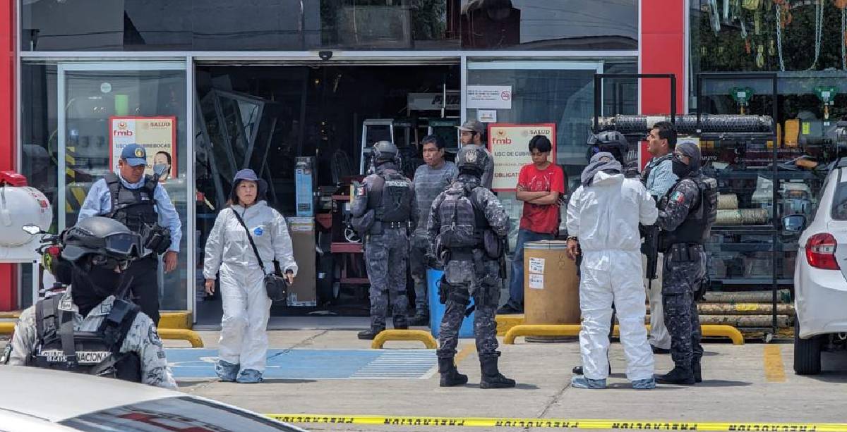 Guardia de seguridad Modelo
