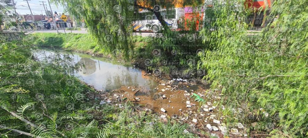 canal el sauz