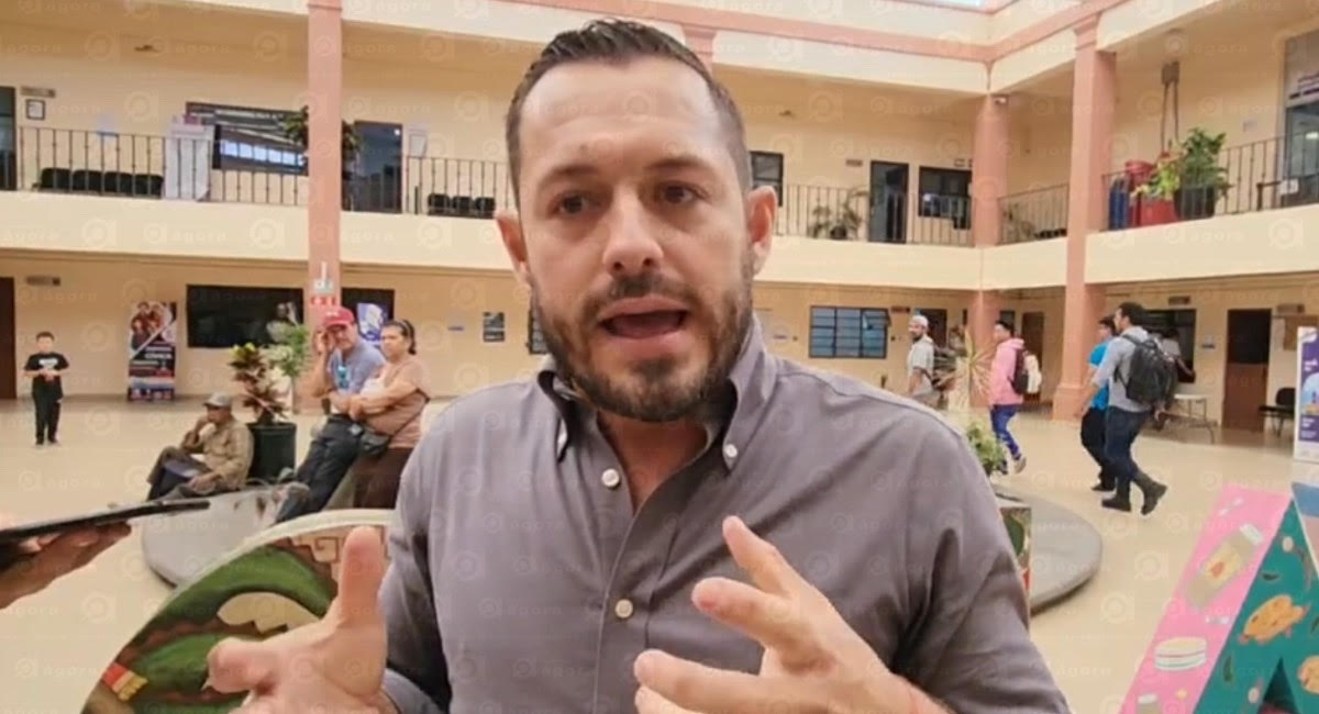 diputado verde