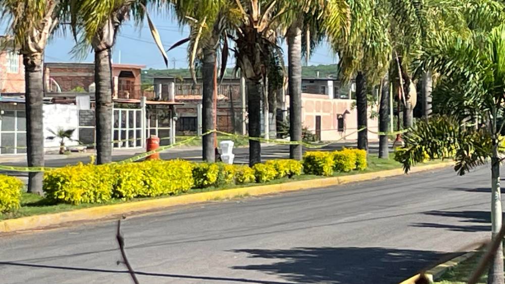 hileras irapuato