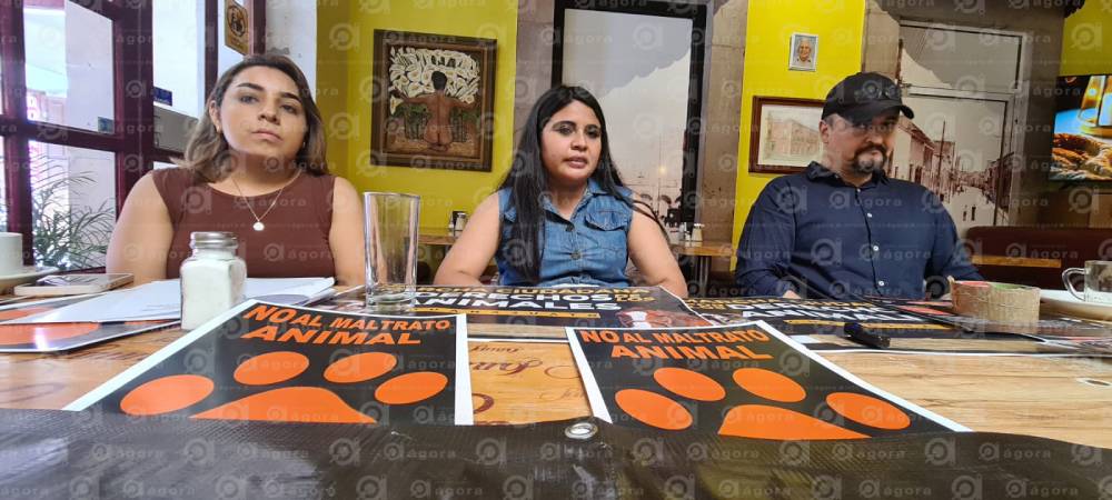 no al maltrato animal